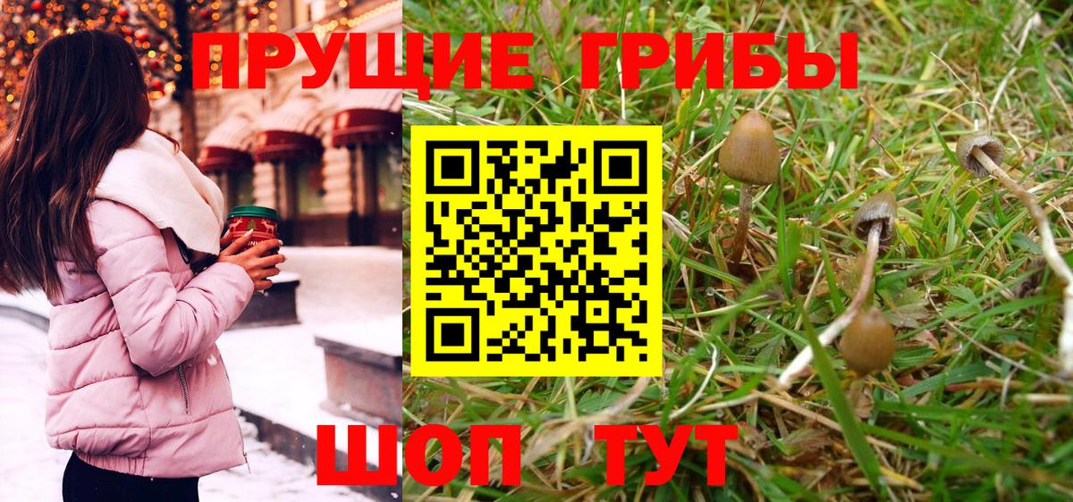 Галлюциногенные грибы Magic Shrooms Ставрополь