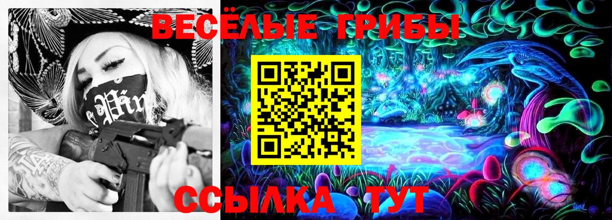 Псилоцибиновые грибы прущие грибы  Вход с VPN  Ставрополь 